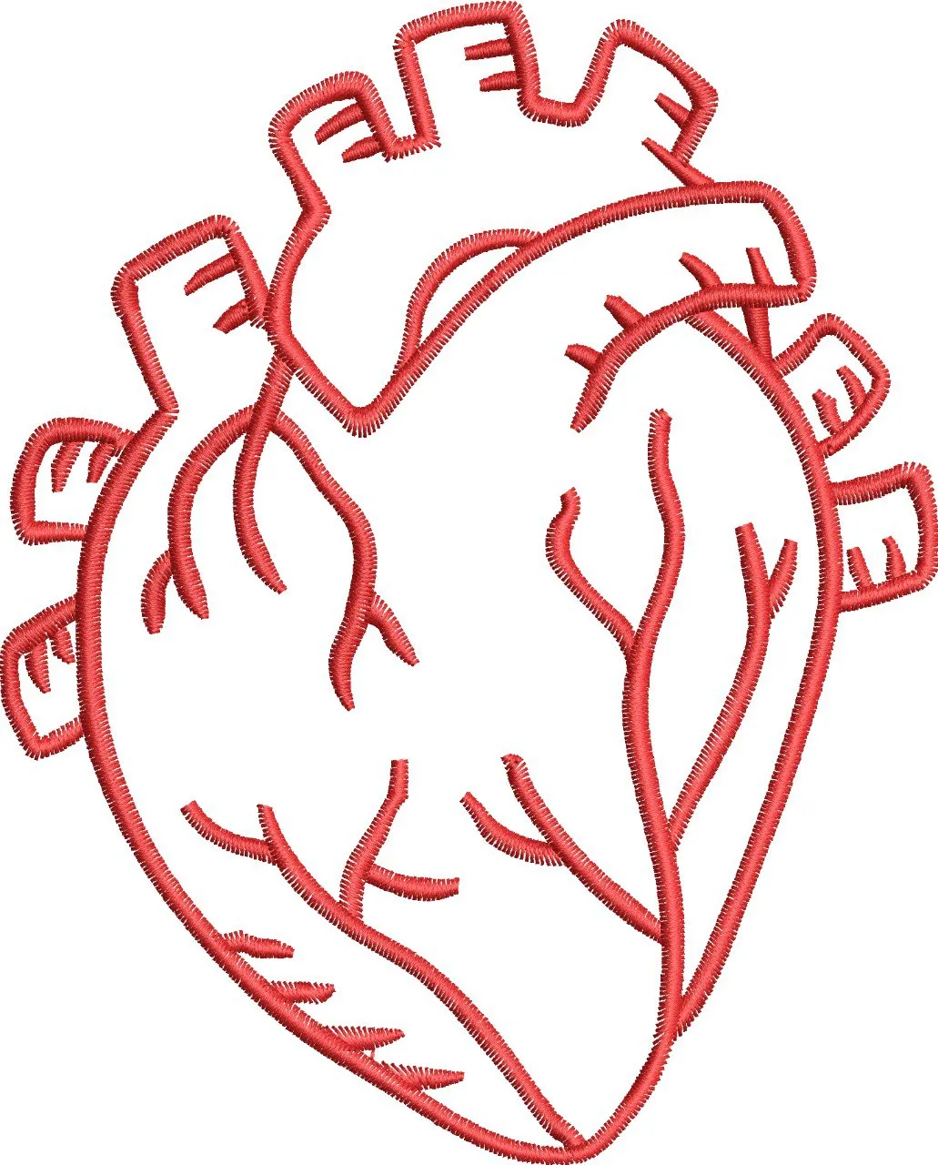 Alternative view of  Anatomical Heart Embroidery Outline 