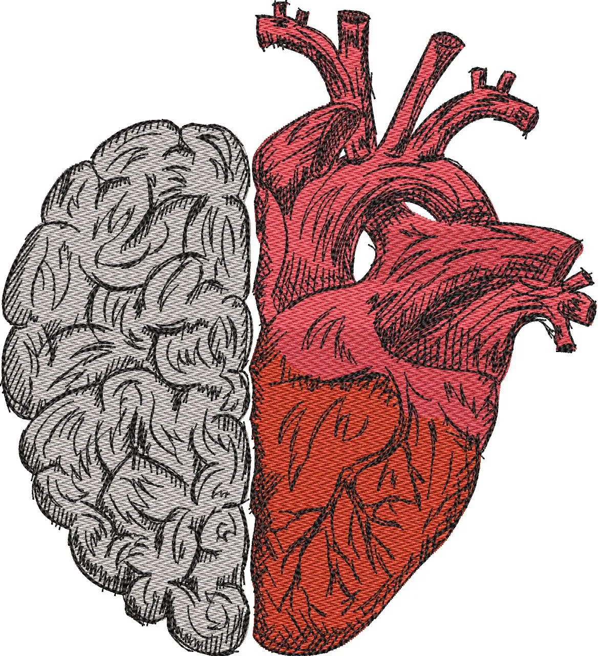 Alternative view of  Brain and Heart Split Illustration 